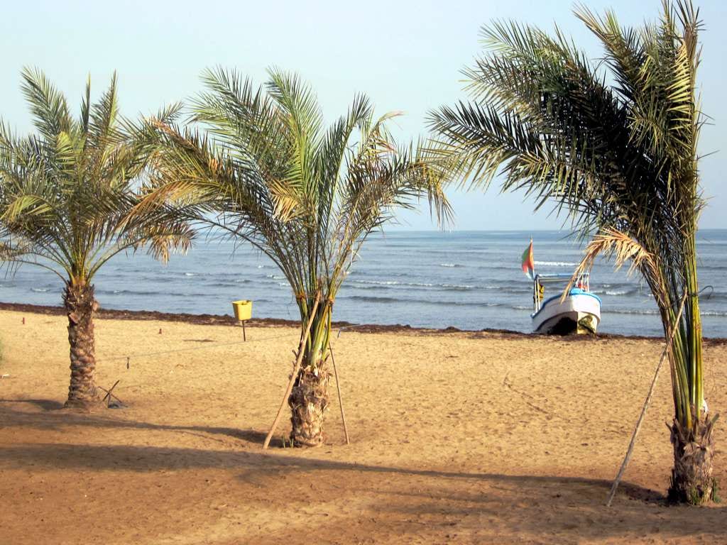 A quiet Red Sea beach near Massawa with palm trees and a fishing boat pulled up on the sand