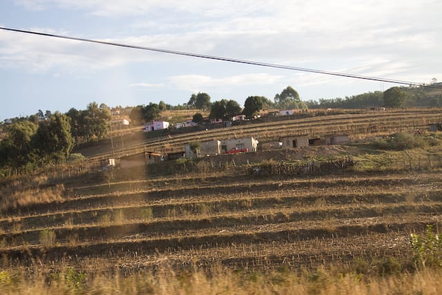 Green hillside farm terraces in the highlands near Mbabane