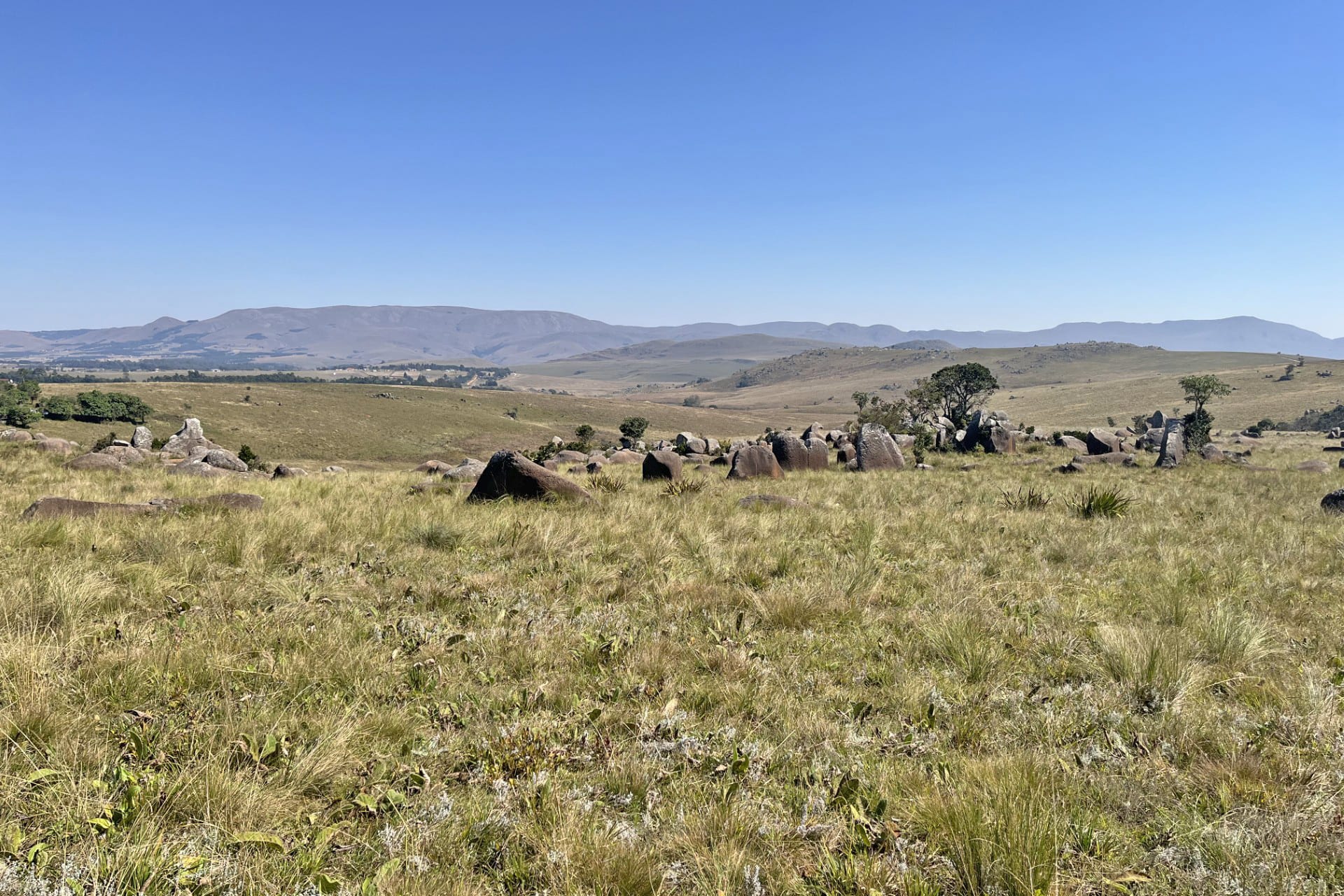 Rolling highland grassland scattered with granite boulders, mountains rising on the horizon