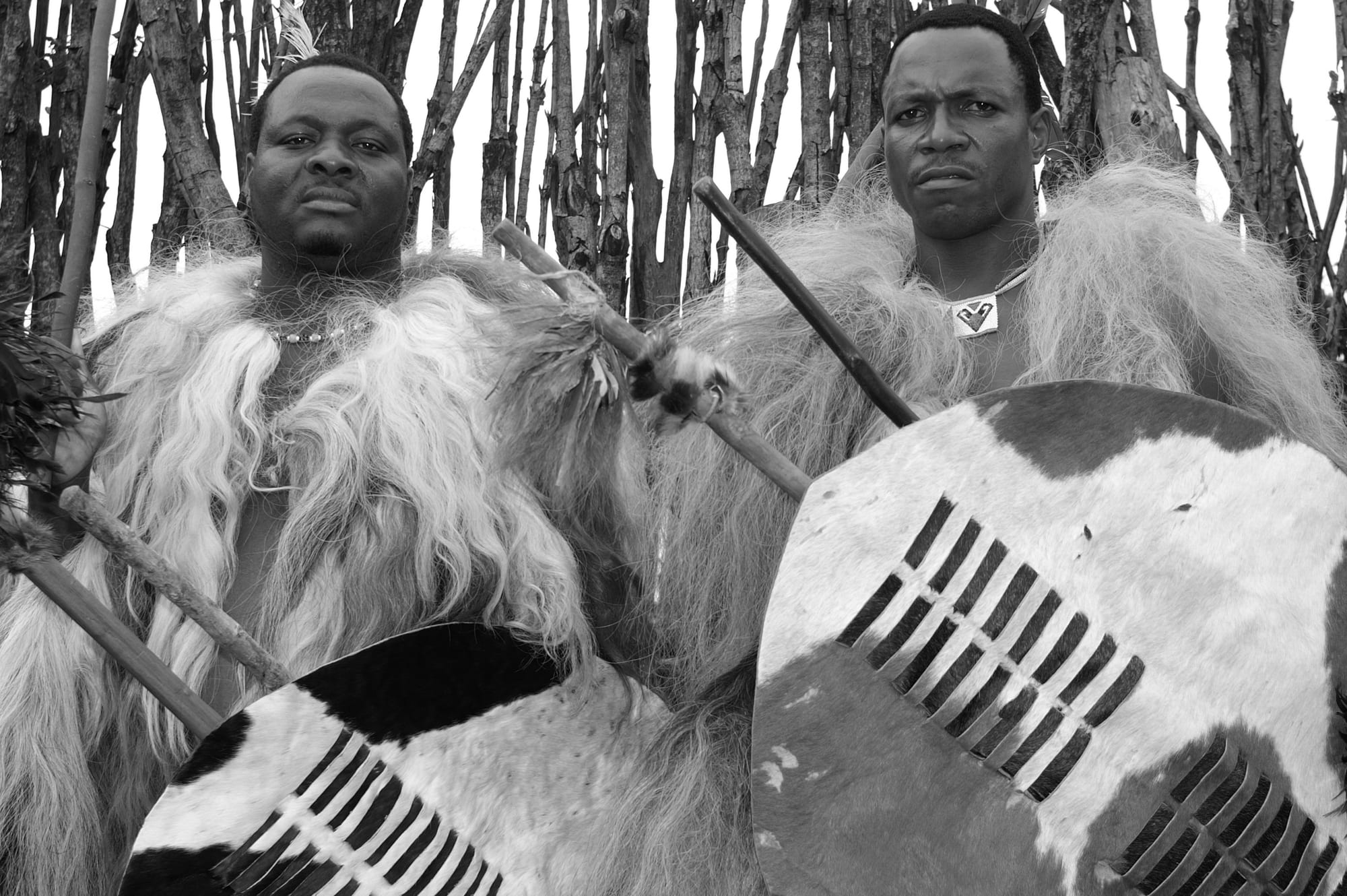 A black and white photograph of two men wearing thick fur capes and holding large cowhide shields and sticks, standing in front of a fence of rough wooden poles