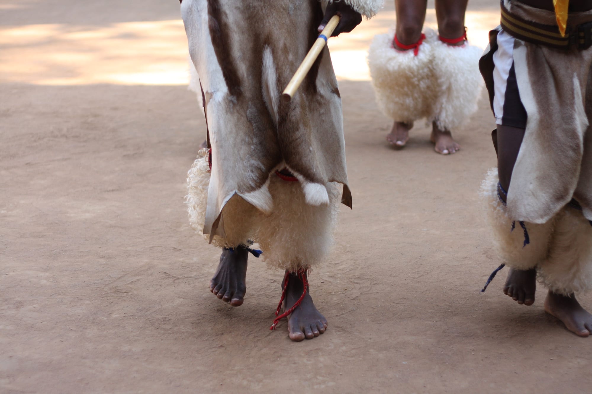 The lower legs and bare feet of dancers wrapped in brown and white animal hides with thick white fur leggings, one holding a short stick, on sandy ground