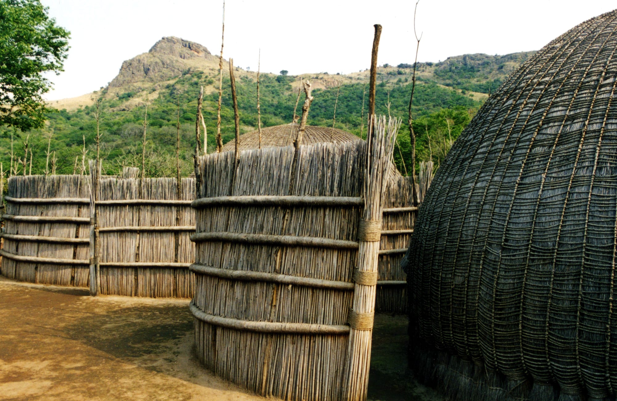 Traditional round thatched huts with reed walls on a homestead in rural Eswatini, hills behind