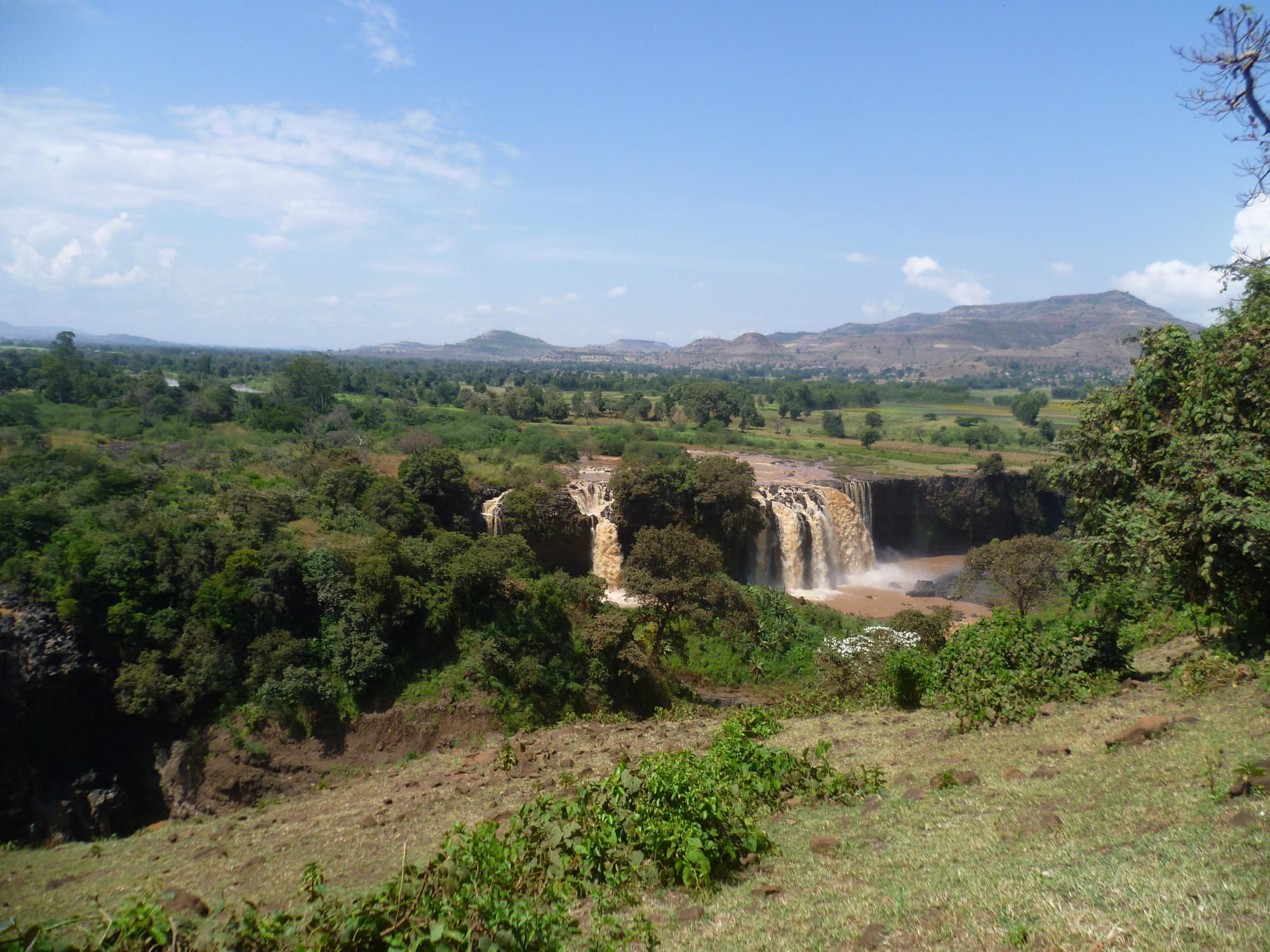 A curtain of falling water over dark basalt with green vegetation around