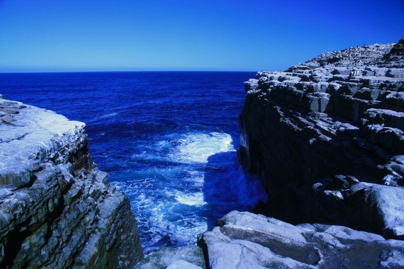 A low grassy island with a white beach, seabirds, and open ocean beyond