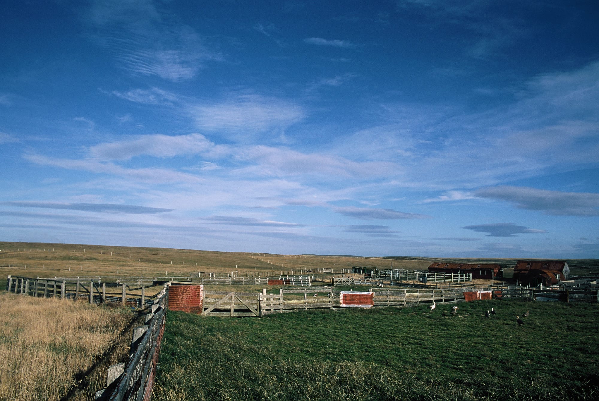 Wooden sheep corrals and a red-roofed shearing shed set in open, treeless grassland under a wide blue sky in the Falkland Islands
