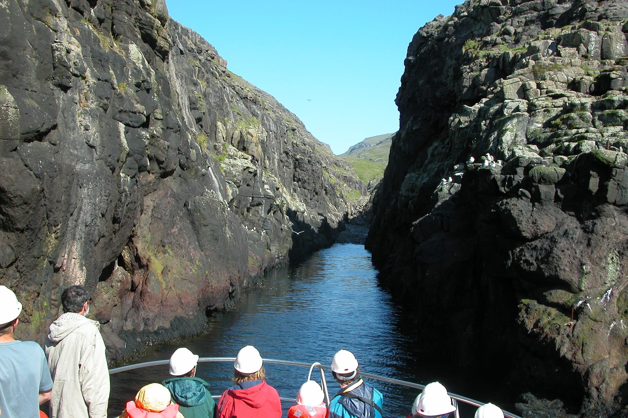 A tour boat entering a narrow rock gorge with birds nesting on the cliff ledges