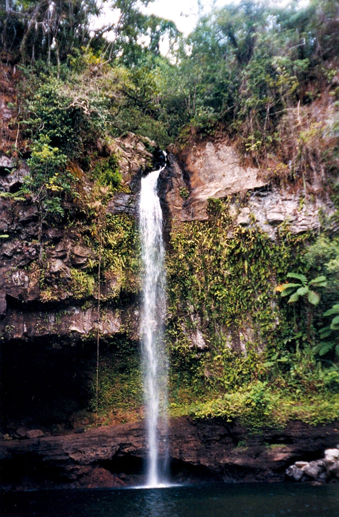 A wide waterfall dropping into a large clear pool surrounded by rainforest
