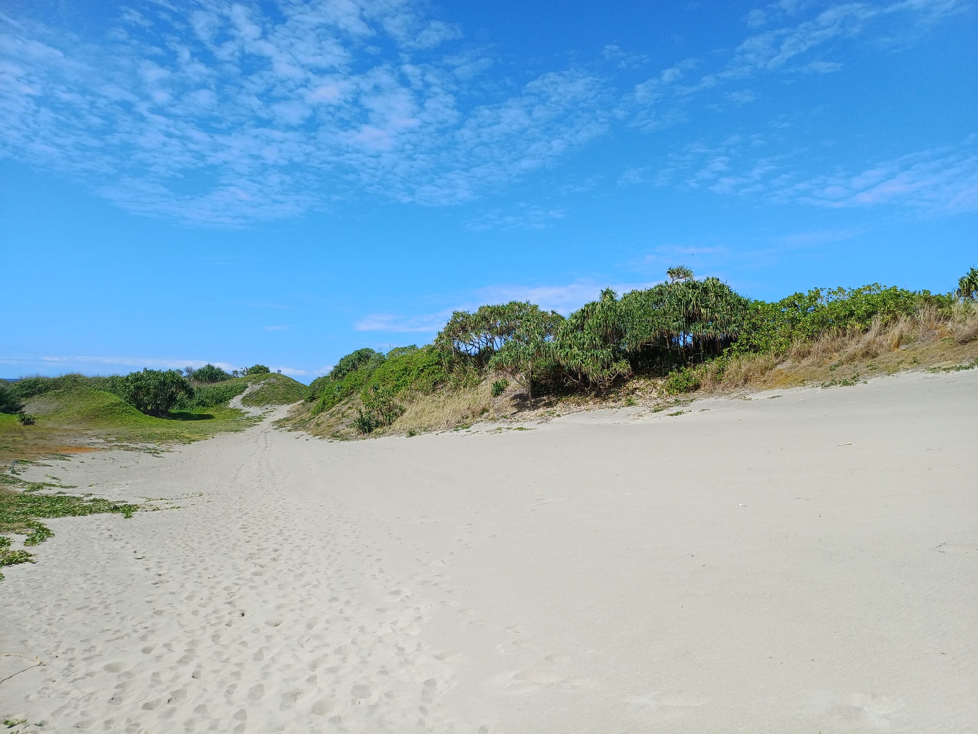 Large windblown sand dunes covered in patchy vegetation above a grey-sand beach and surf