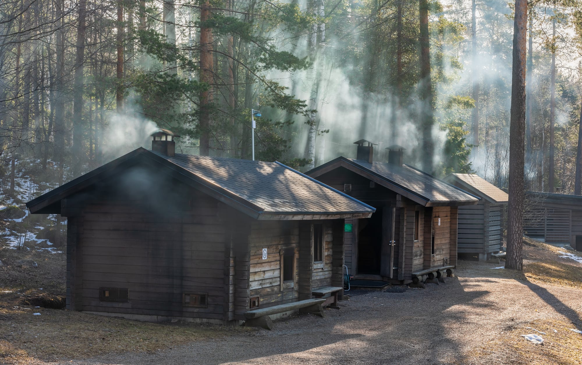 Two small dark log sauna cabins among tall pine trees, with smoke drifting from their chimneys and roofs through shafts of sunlight