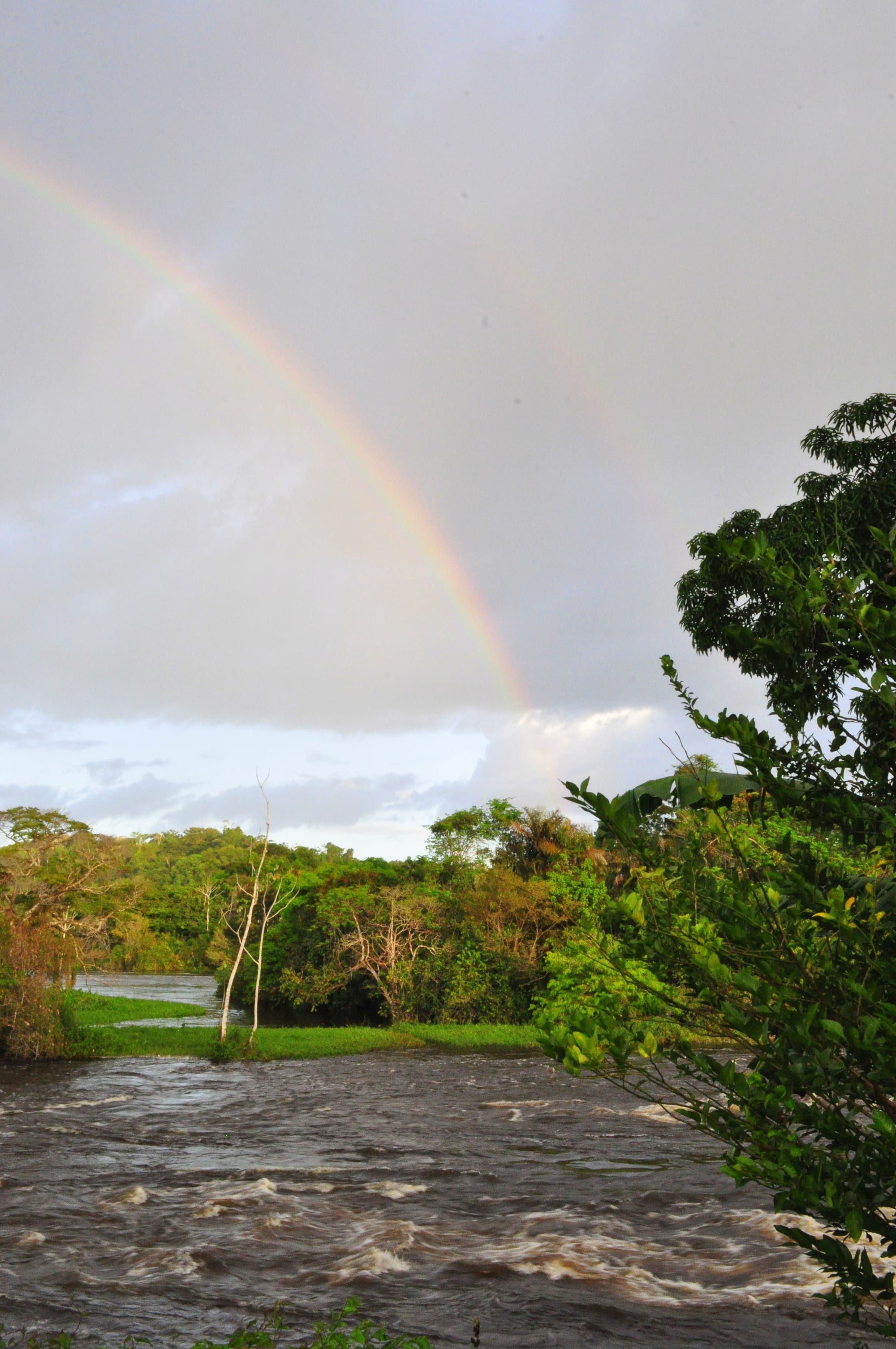 A wide brown river running through unbroken green rainforest, with a rainbow overhead