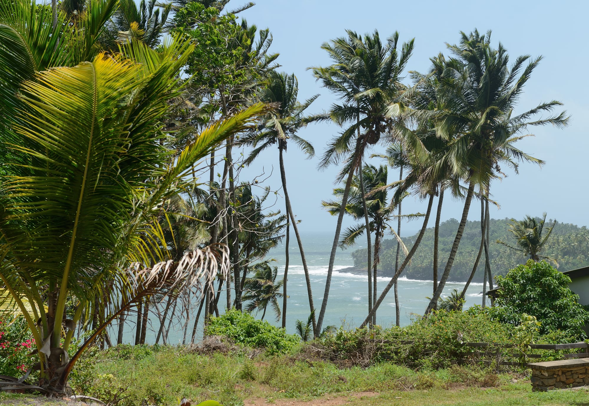 A small palm-covered island seen across a channel of open sea from a rocky shore