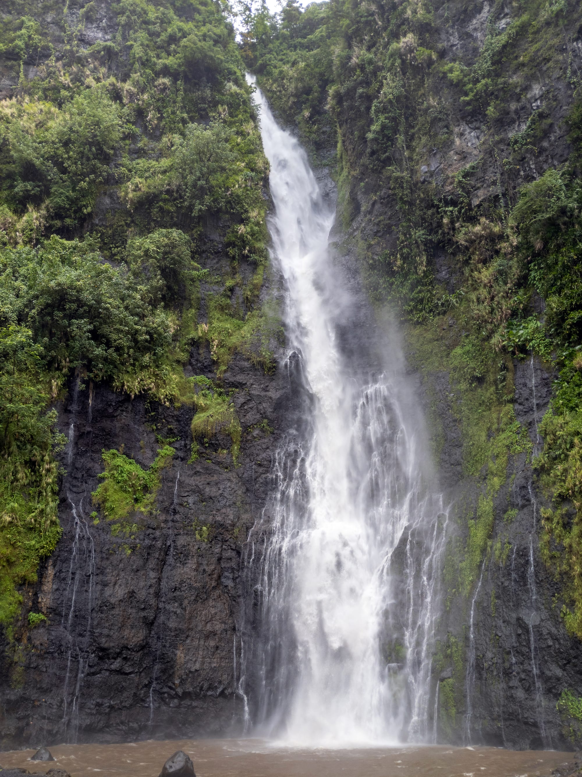 A tall thin waterfall dropping down a fern-covered cliff into a dark pool