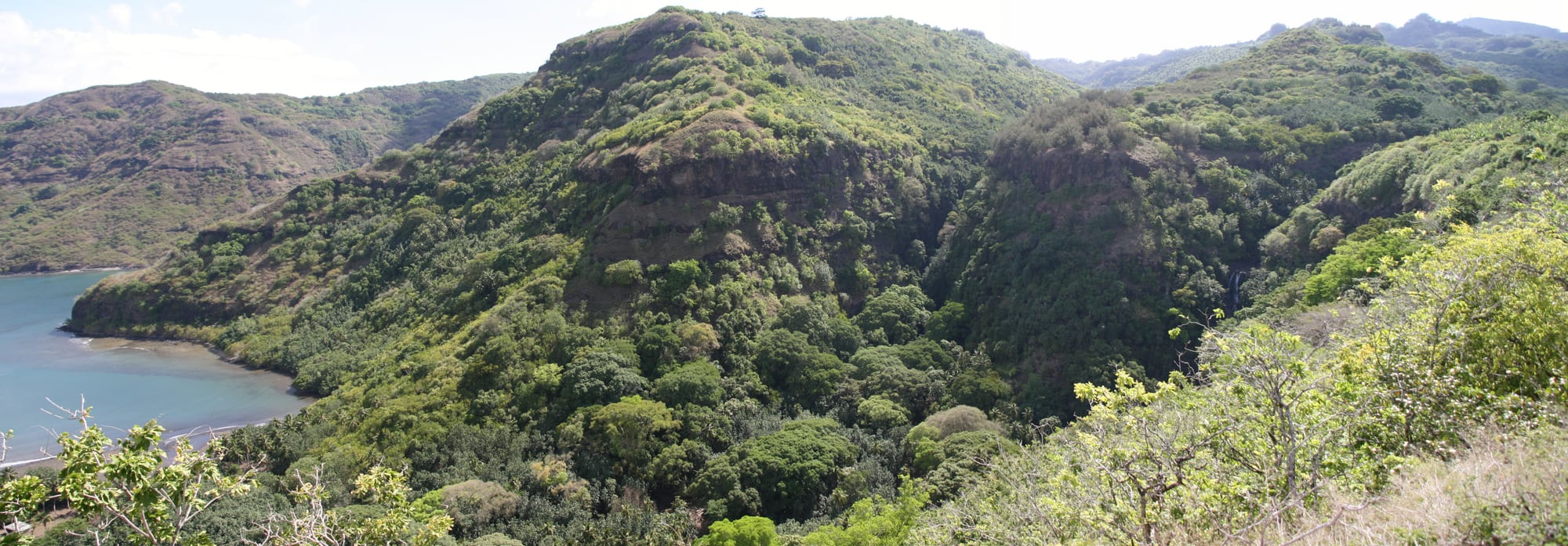 A deep green valley of dense forest running down to a rugged coast