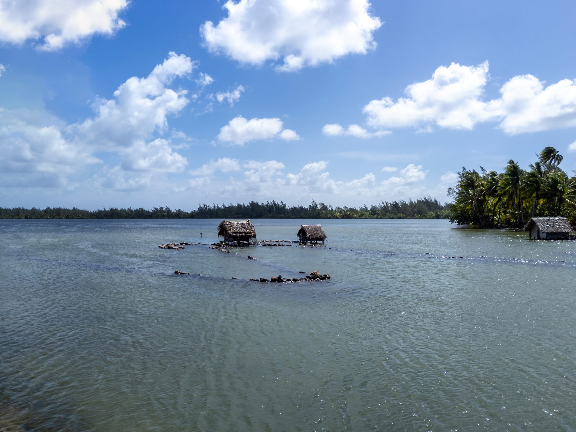 A quiet lagoon with a wooden jetty, palms, and low green hills