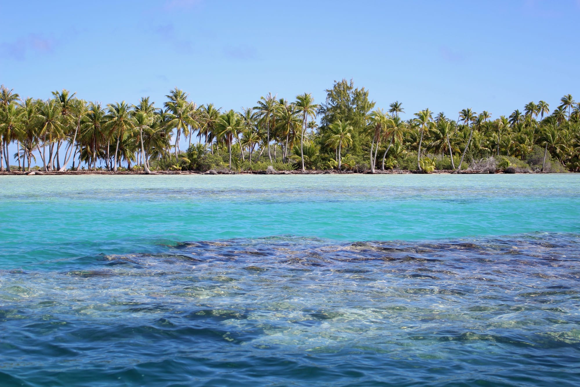 Pale green shallow lagoon water over sand, with a low palm-covered islet