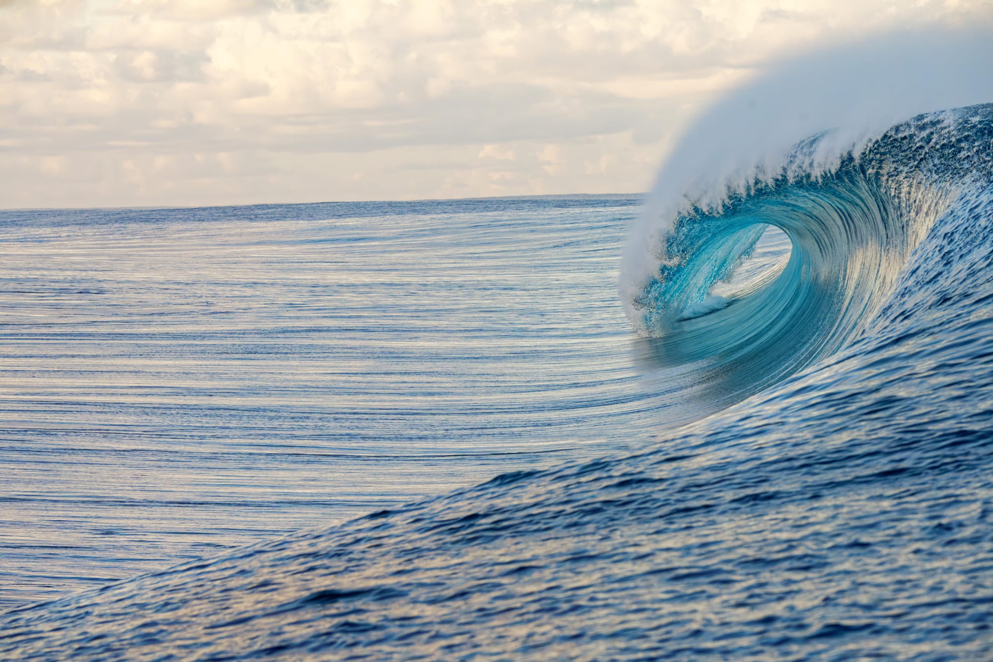 A large, thick barrelling wave breaking over a shallow reef