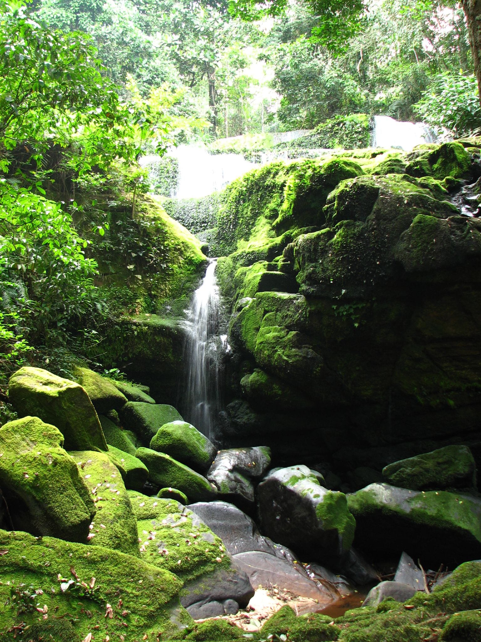 A tall waterfall dropping in stages through dense rainforest
