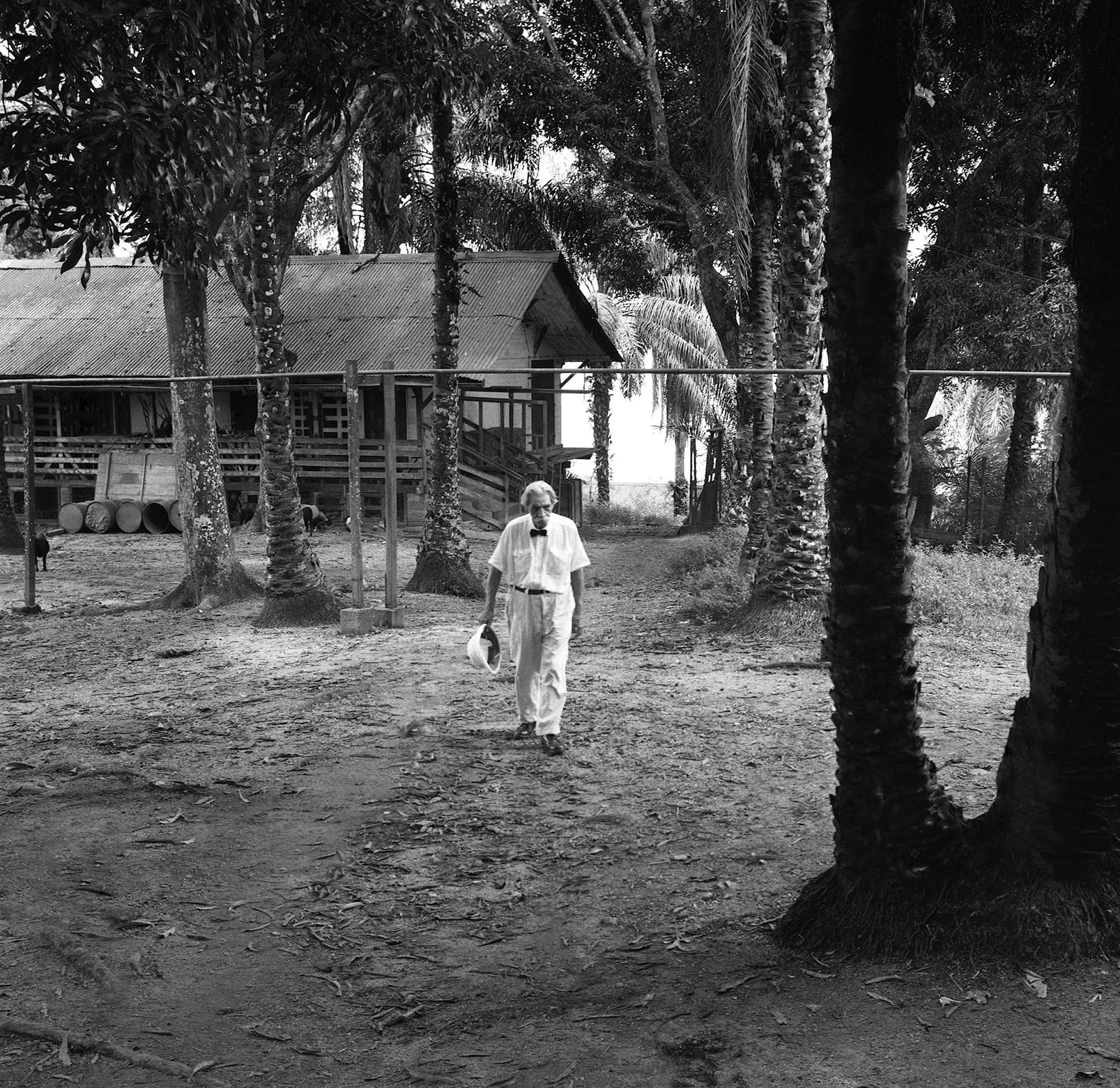 An elderly Albert Schweitzer in a pith helmet and white shirt at his jungle hospital
