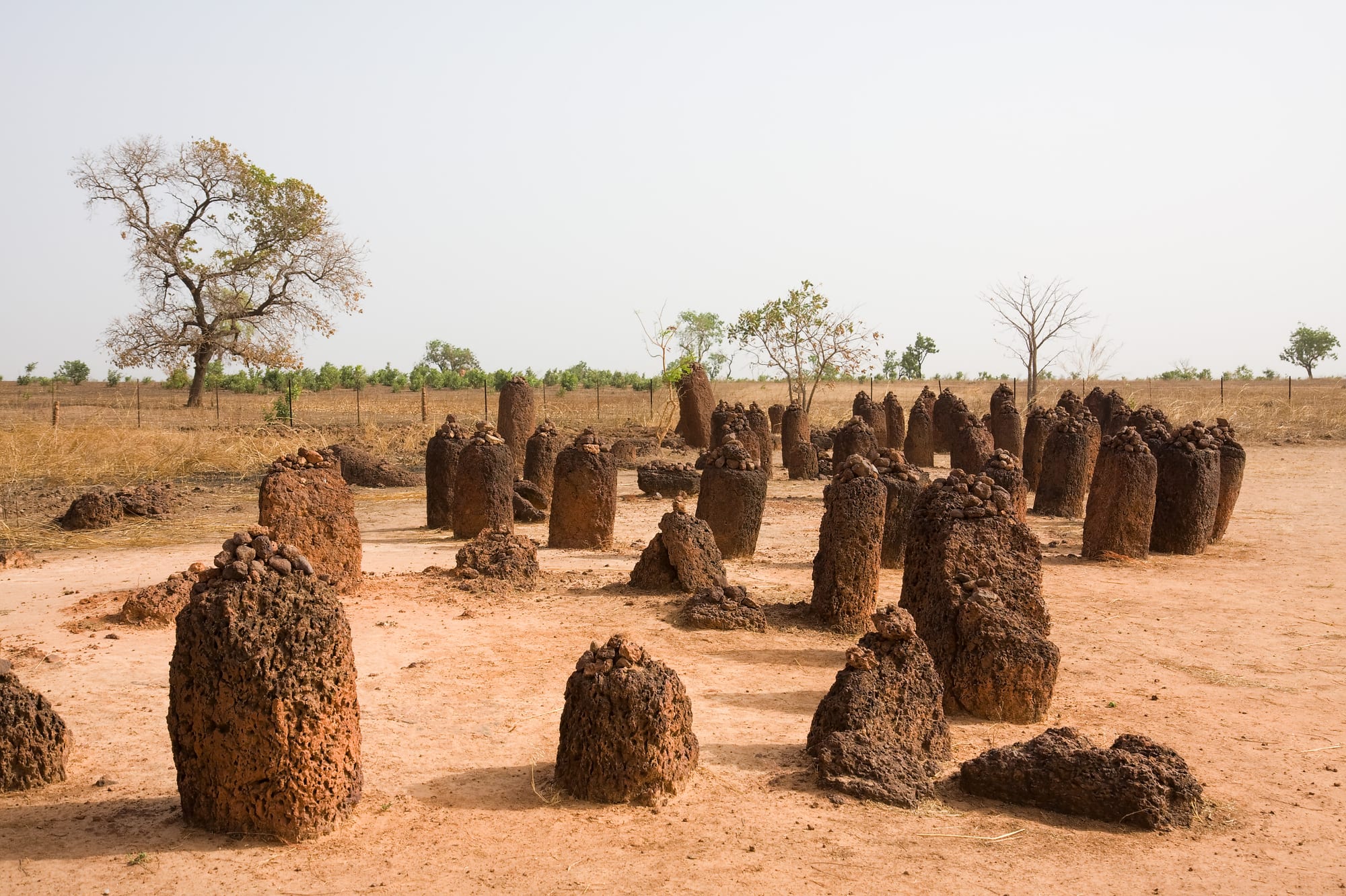 Groups of short standing stones arranged in circles on flat grassland