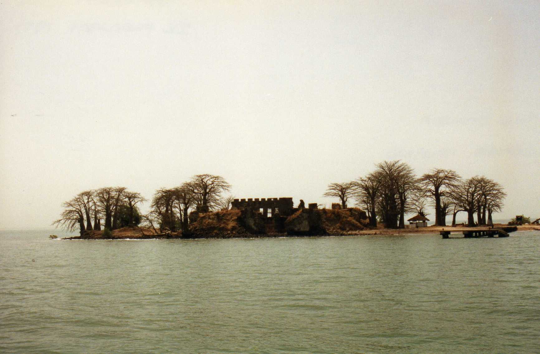 A small island with ruined stone fort walls surrounded by tall baobab trees