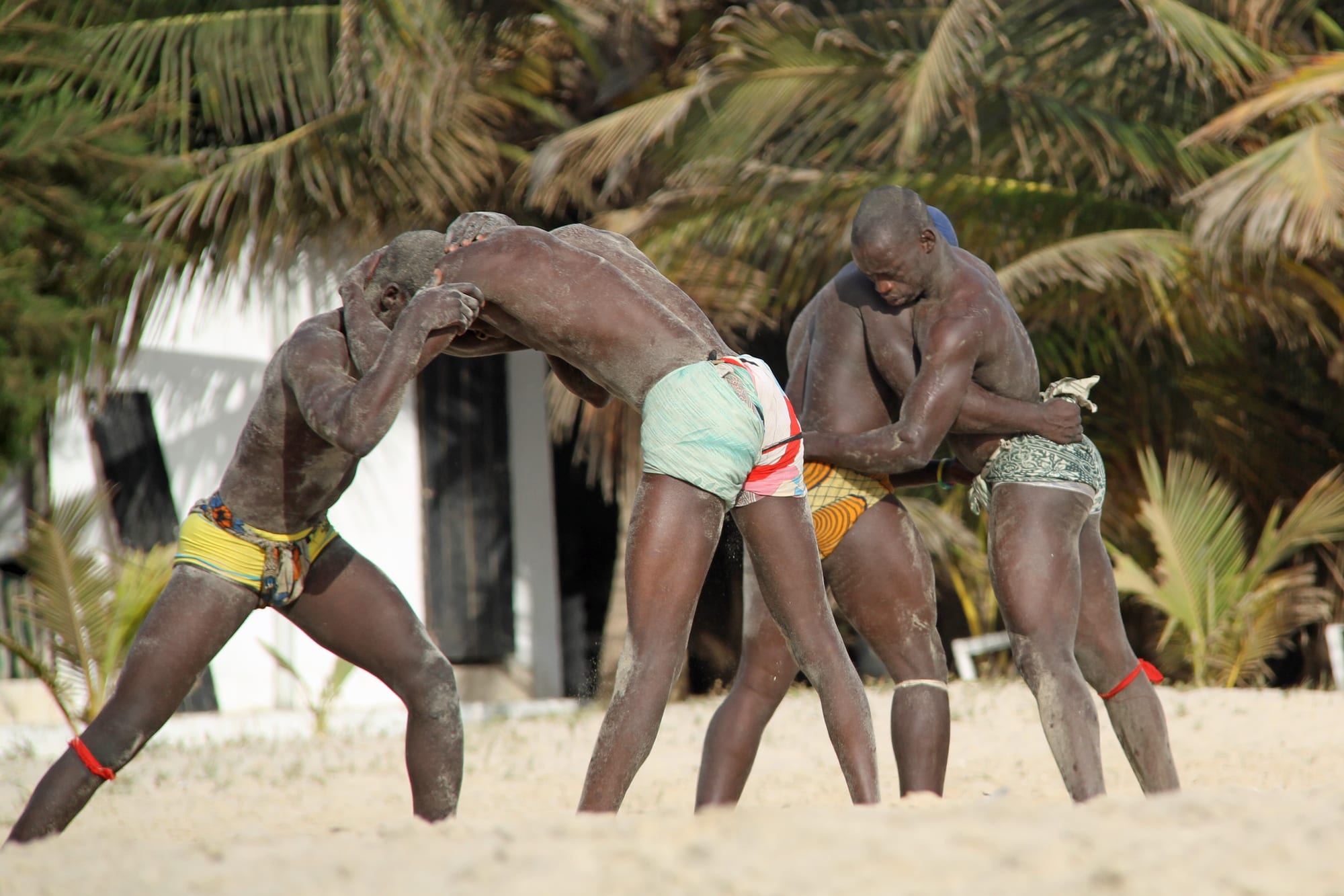 Two pairs of muscular wrestlers in colourful loincloths, their bodies dusted with sand, grapple on a beach in front of palm trees