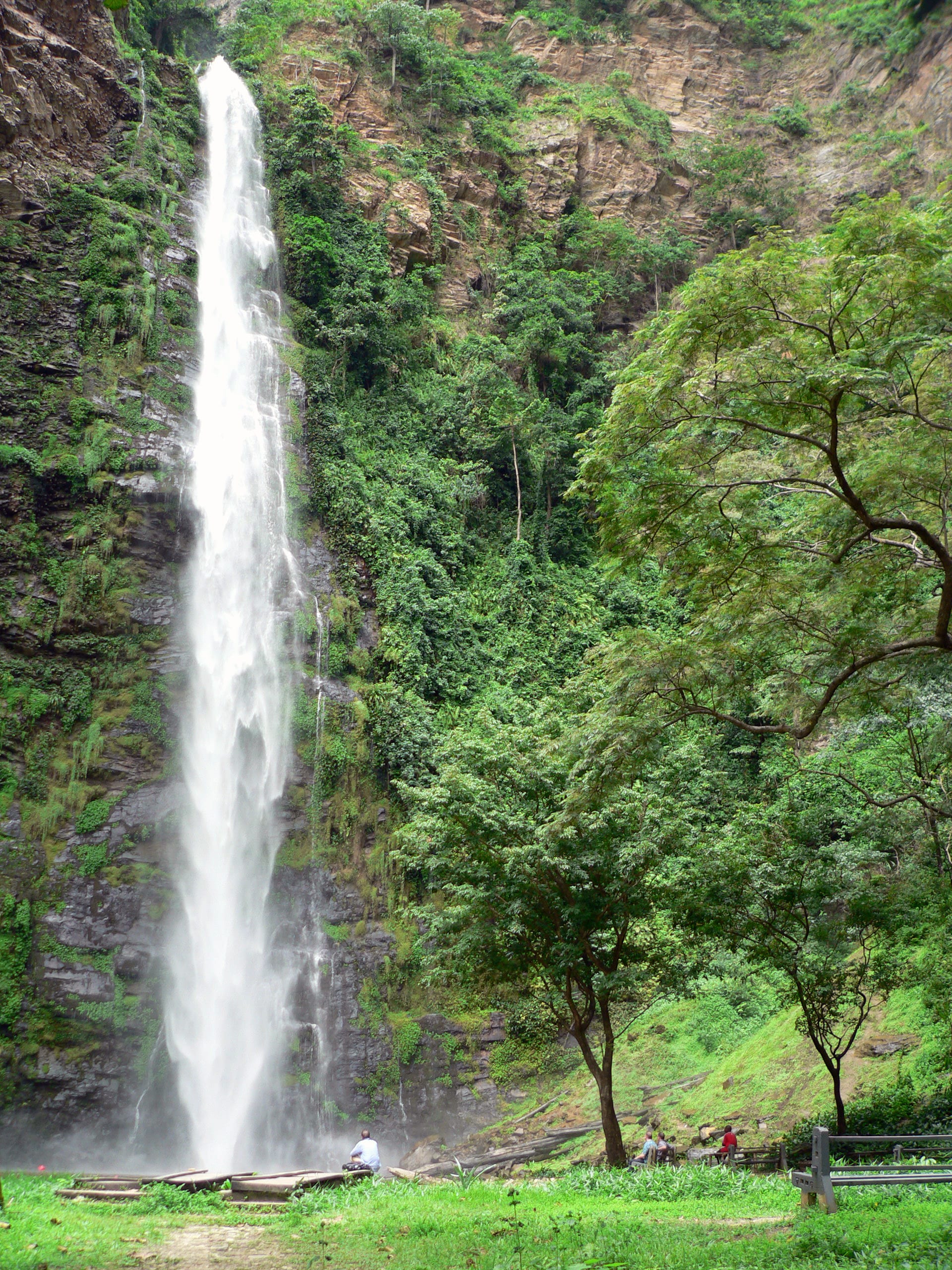 A tall single-drop waterfall on a forested cliff, with a pool at its base