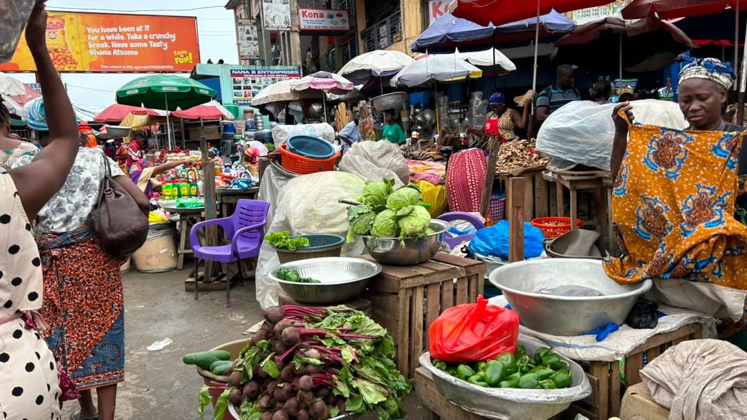 A market vendor arranging fresh vegetables at a stall