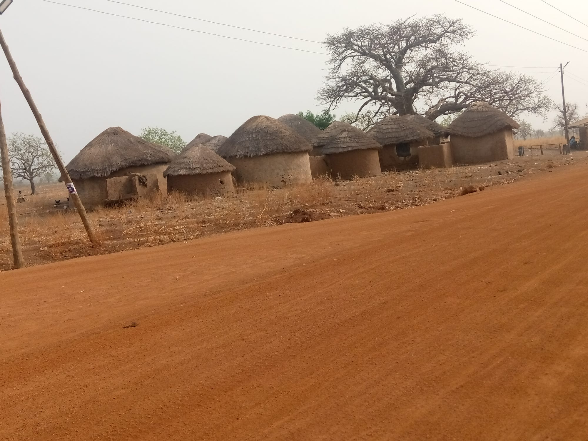 A cluster of round, thatched-roof mud houses beside a red dirt road, with a large bare tree behind