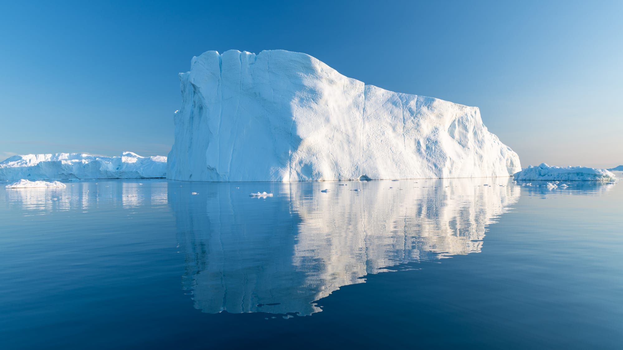 A huge sculpted iceberg floating in calm dark water under a pale sky