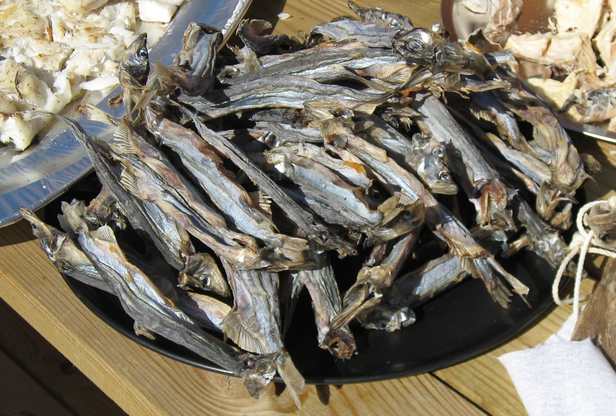 Small silvery fish spread out and drying on flat rocks