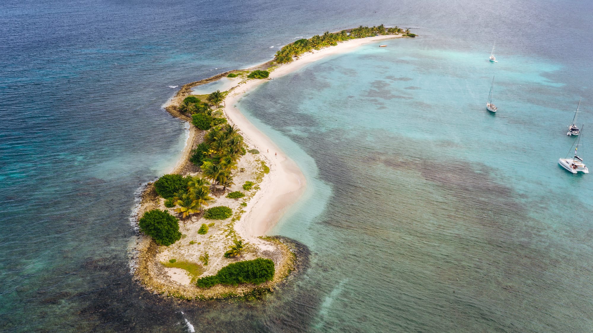 A tiny sandbar island with a few palm trees ringed by pale shallow water