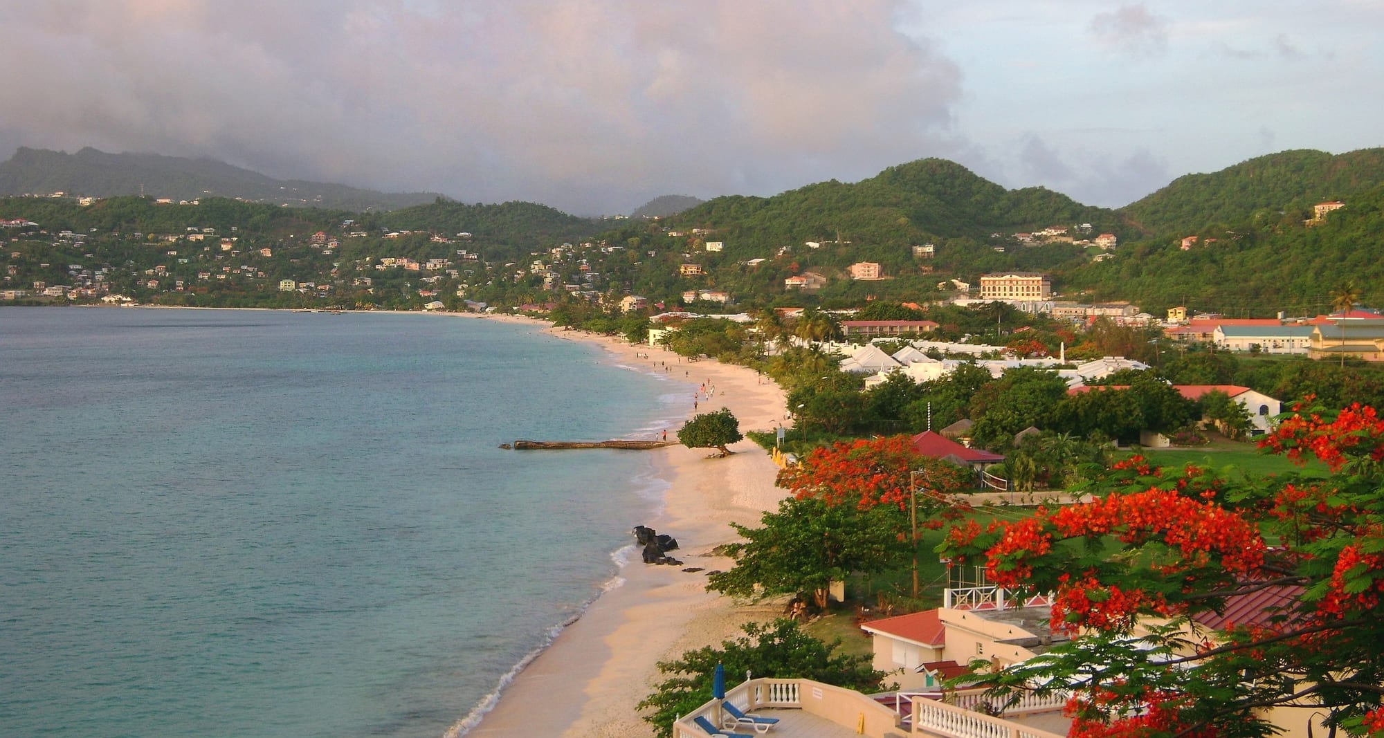 Palm trees leaning over a wide sandy beach with a headland in the distance