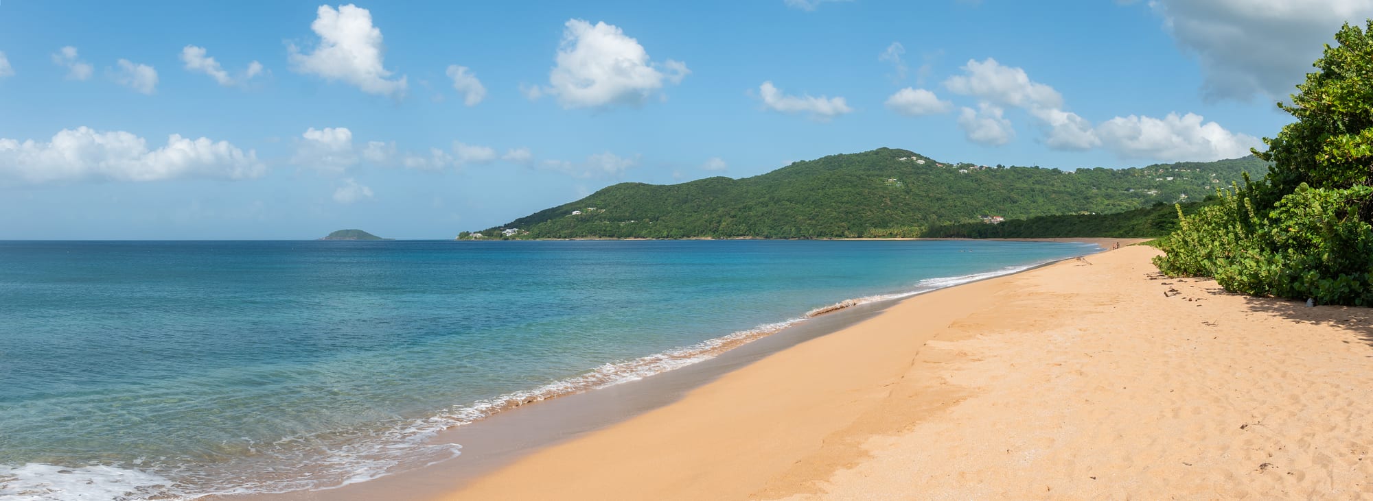 A long golden beach curving between forested headlands under palm trees