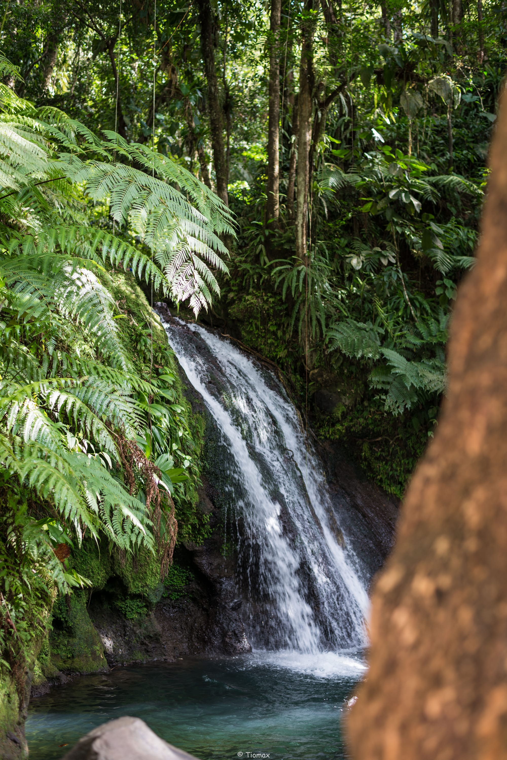 A waterfall spilling into a clear turquoise pool framed by tree ferns