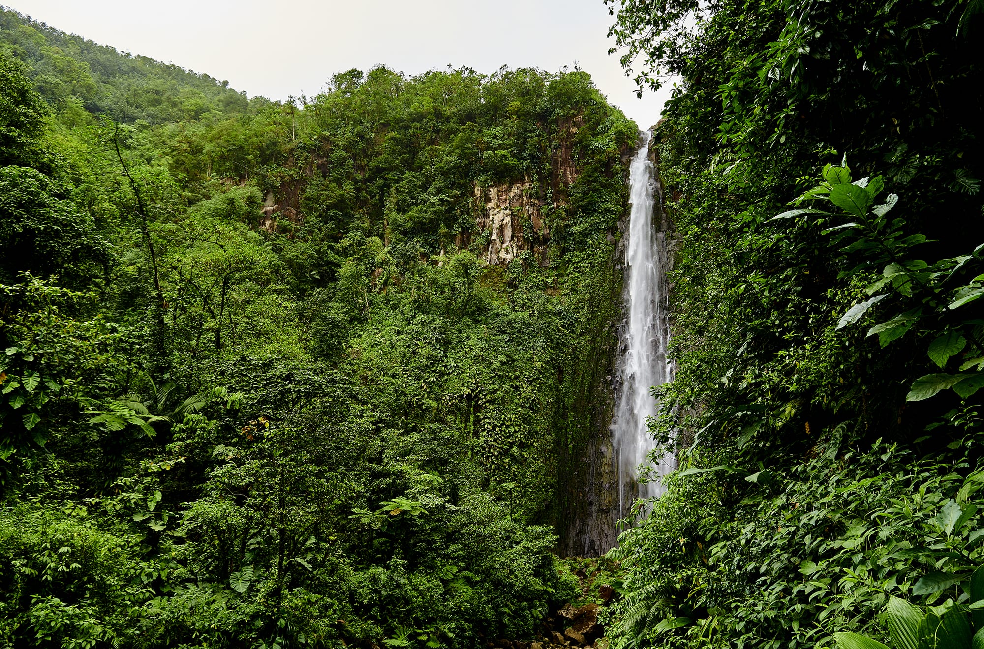 Two tall parallel waterfalls plunging down a jungle-covered mountainside