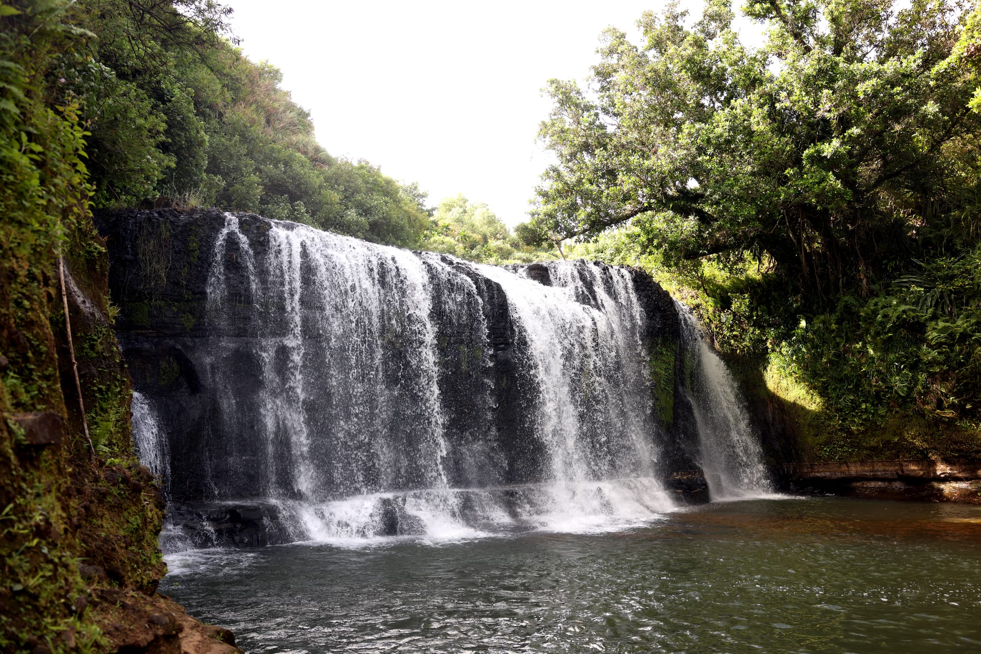 A two-tier waterfall dropping into a brown jungle pool
