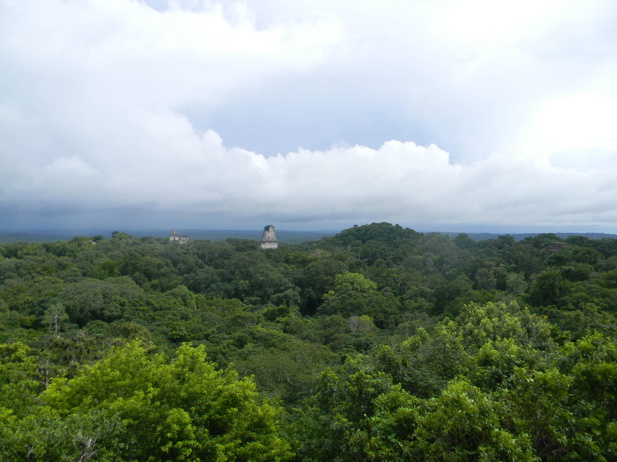 A roof-combed temple pyramid emerging above an unbroken green rainforest canopy