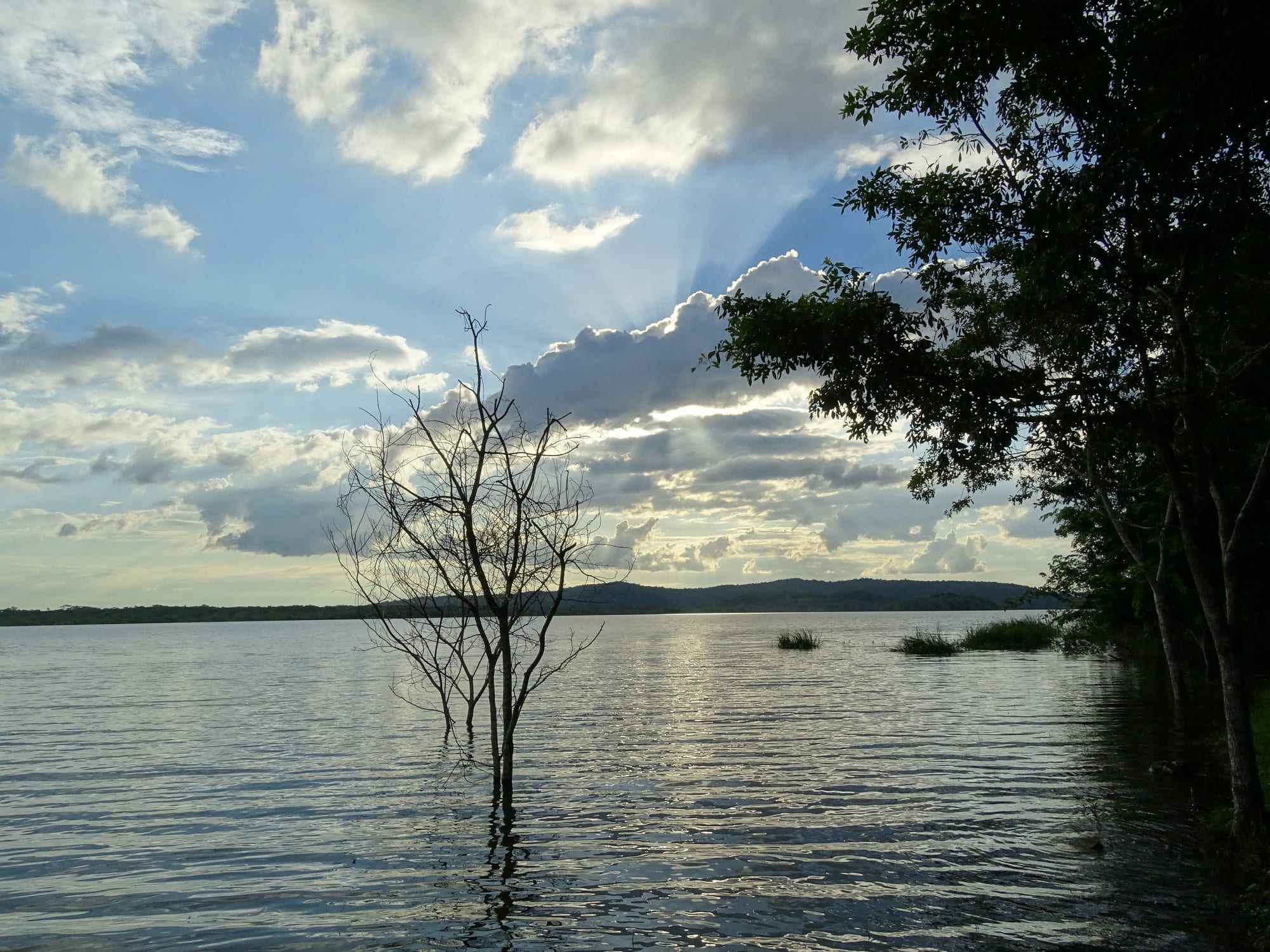A calm jungle-fringed lagoon reflecting the sky at dusk