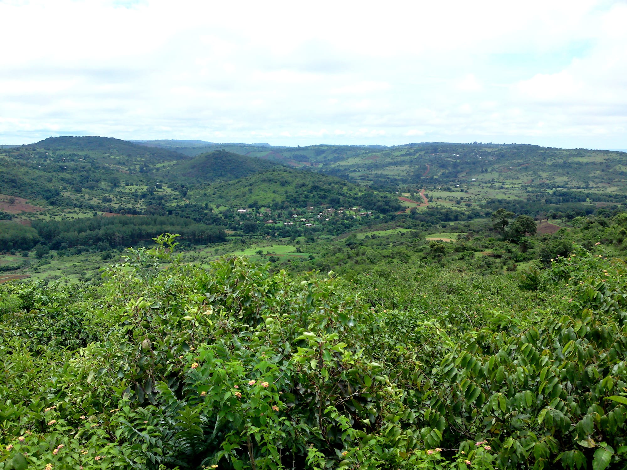 A deep green valley and rocky escarpment in a highland landscape