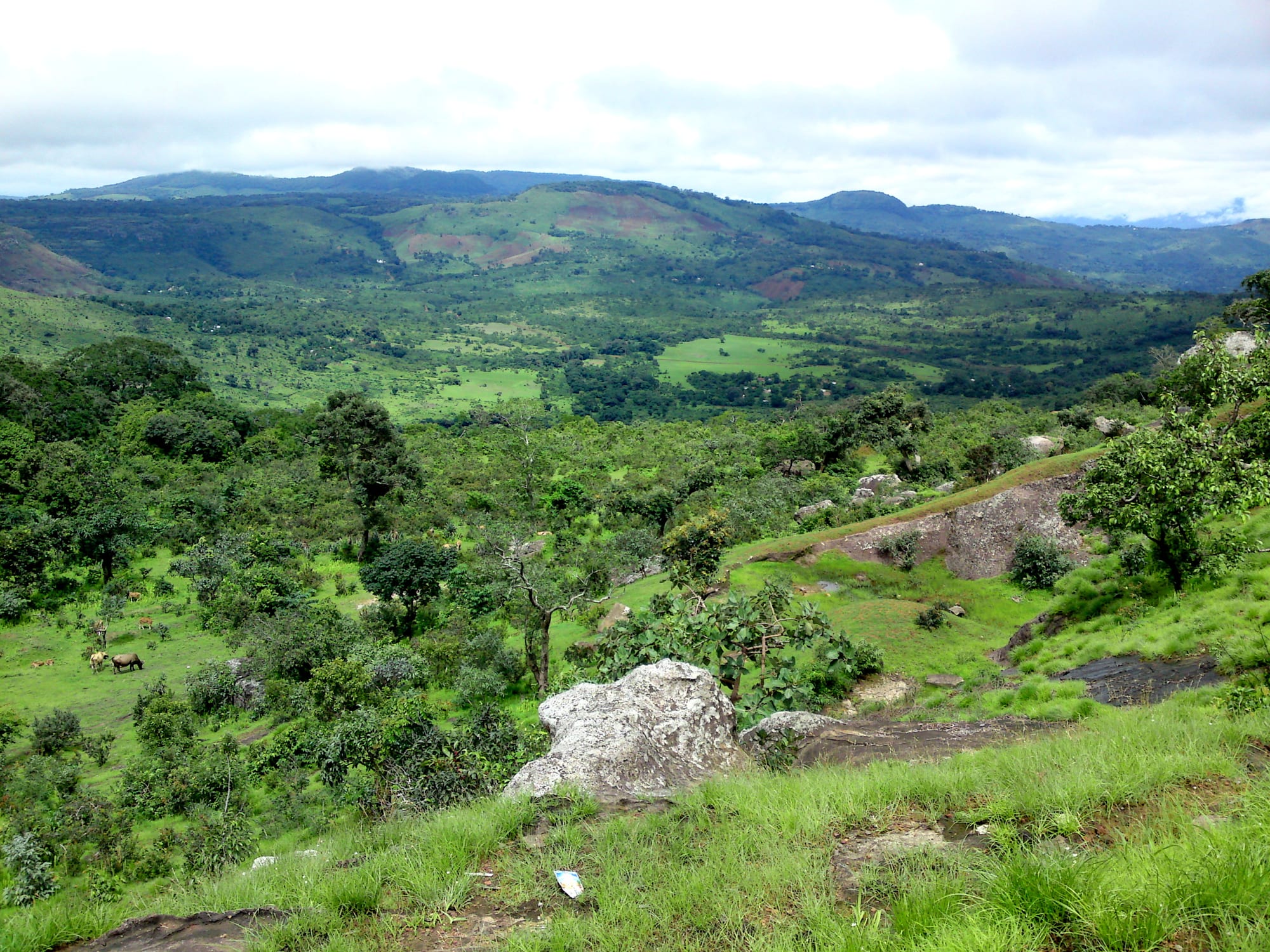 A green plateau landscape of grassy hills, rock outcrops, and scattered trees