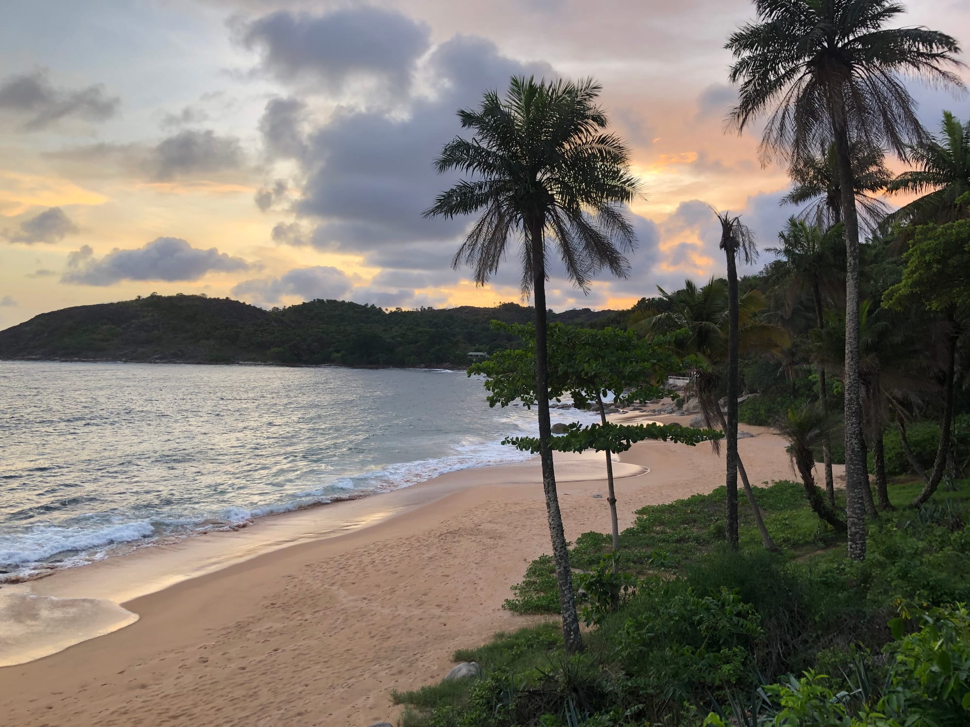 A small tropical beach with palms and calm water, low forested land around