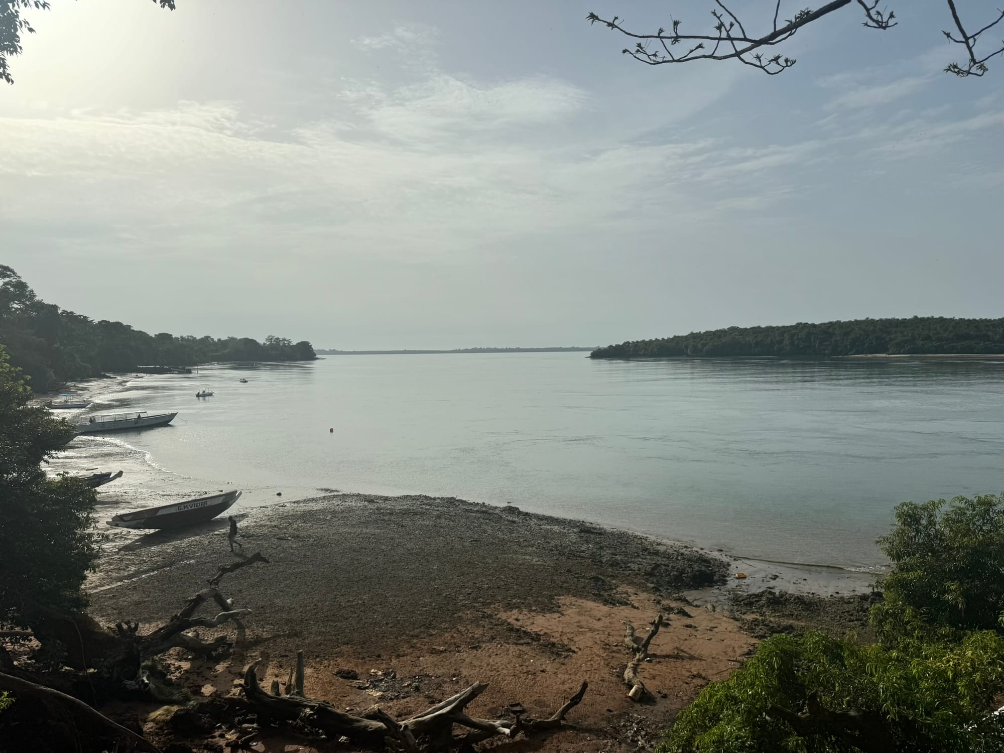 A calm channel of pale water between low islands covered in palms and forest