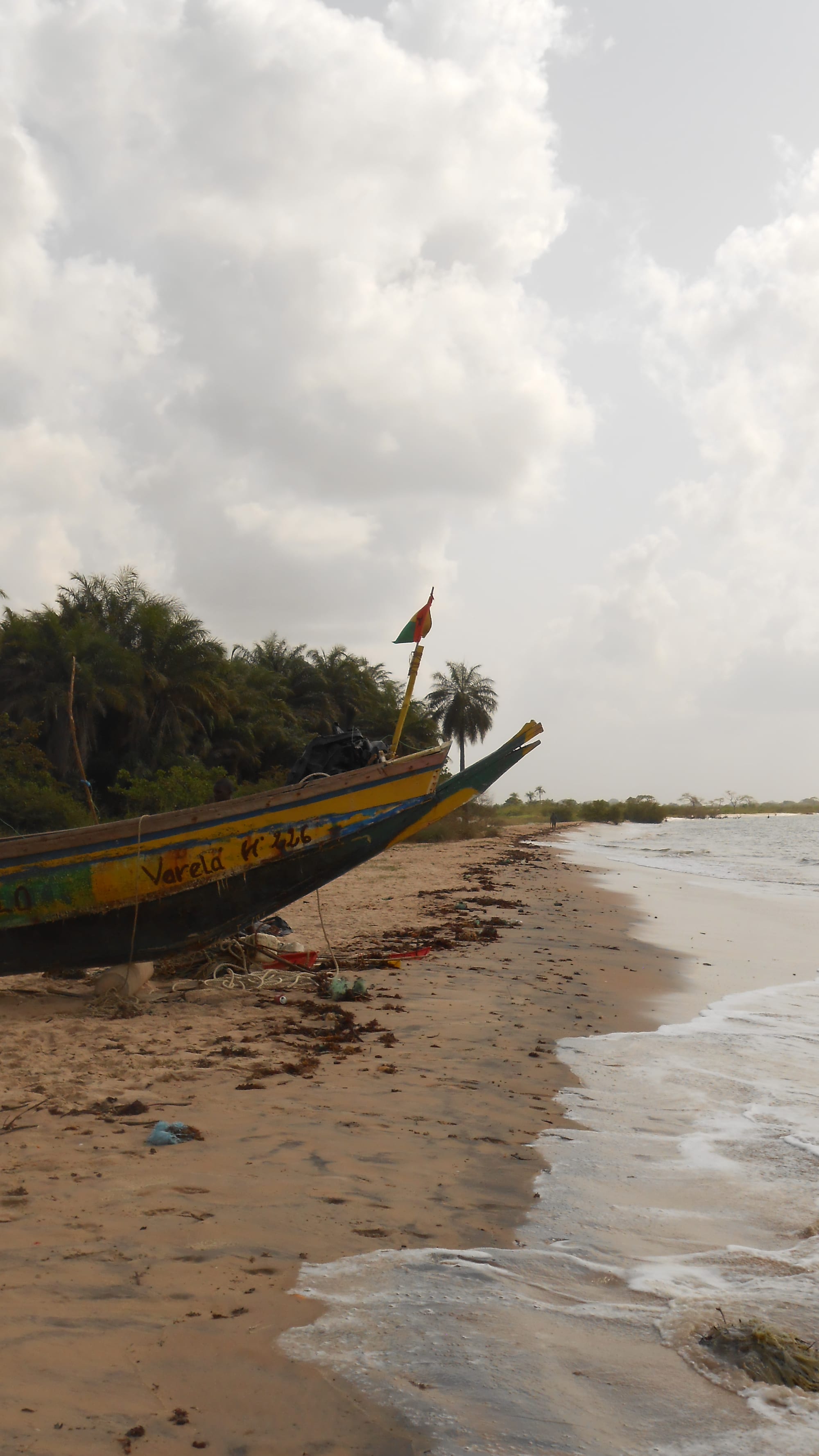A wide empty beach of firm sand backed by palms under a hazy sky