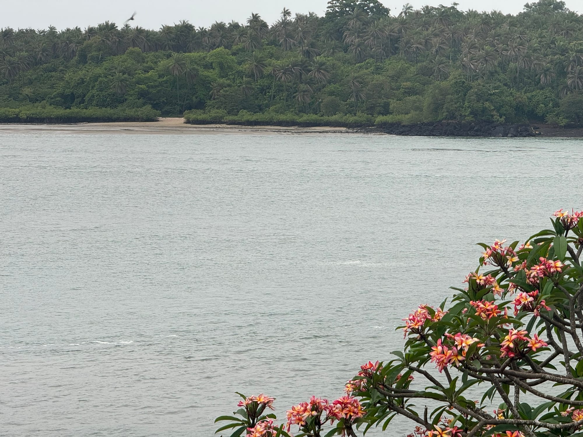 A shallow, glassy tidal channel curving between forested islets at low light