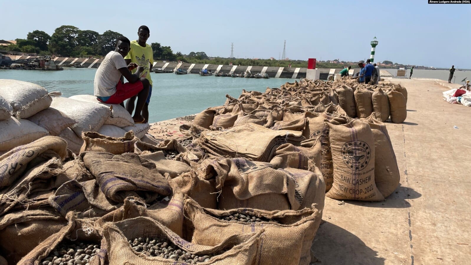 Stacked sacks of raw cashew nuts on a dock in Bissau