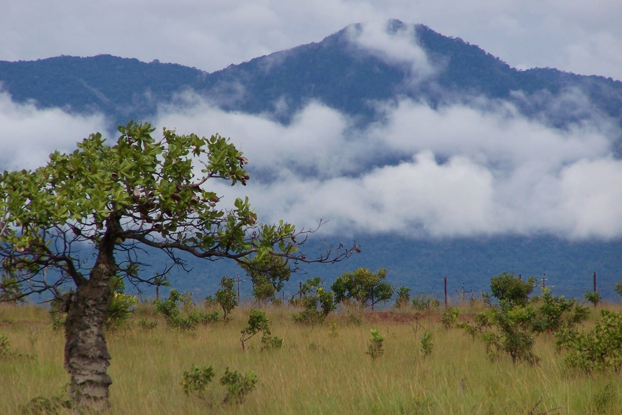 A forested mountain range rising abruptly from flat savanna