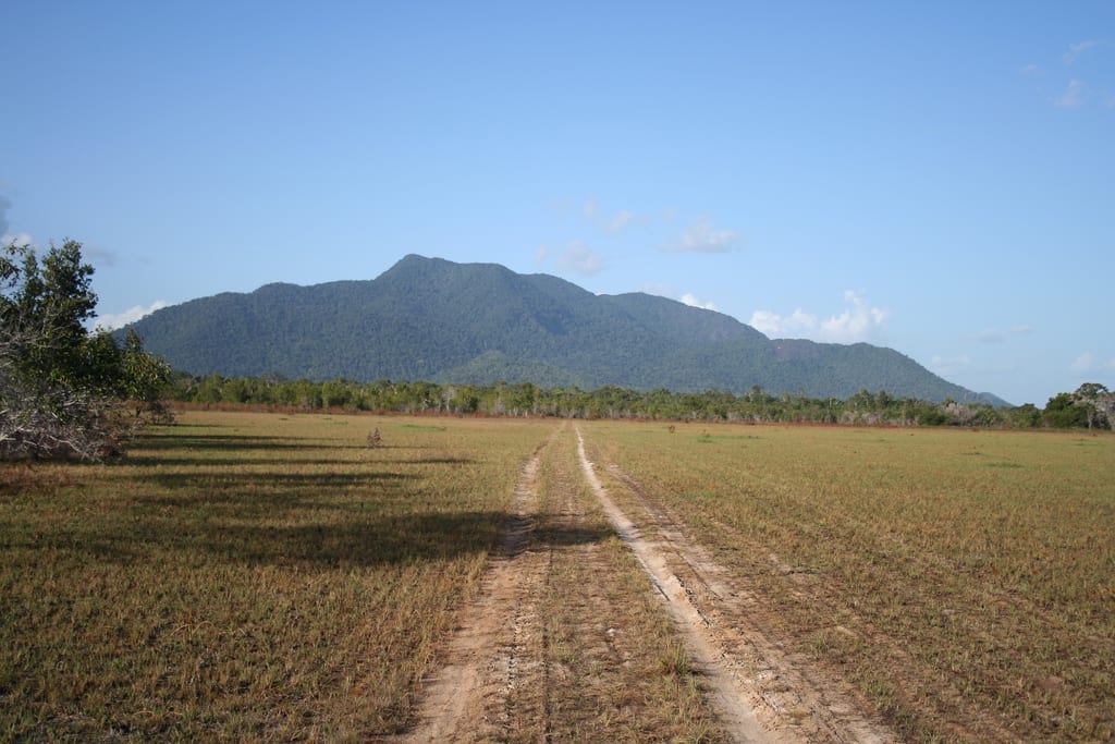 Open golden grassland dotted with palms and termite mounds under a huge sky