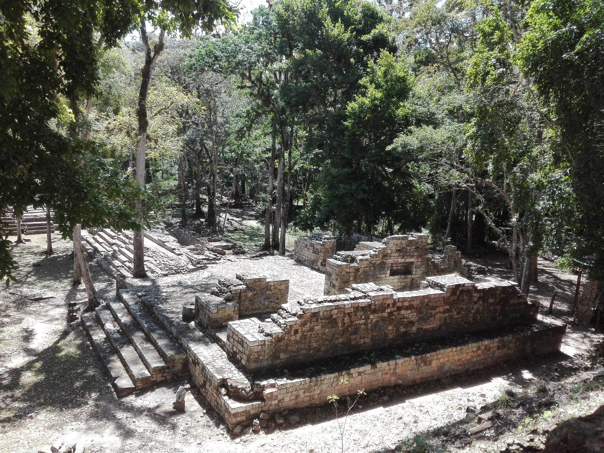 Carved stone stelae and temple mounds in a grassy plaza backed by forest
