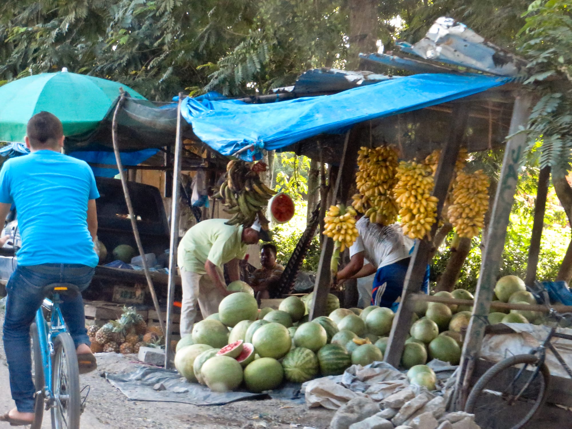 A fruit vendor's stall piled with fresh tropical produce