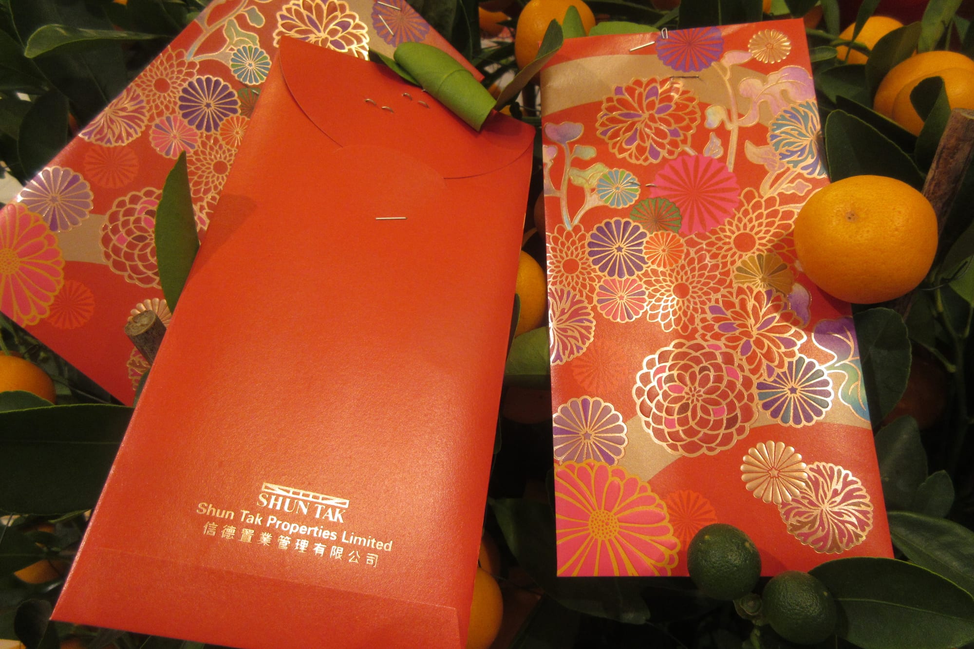 Several red envelopes, one plain and others printed with gold and pink chrysanthemum patterns, tucked among the leaves and small orange fruit of a kumquat tree